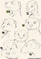 Otter Practice by Shiuk