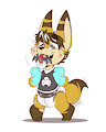 REVA'S COOL PACI