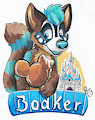 Bodker Badge