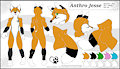 refsheet update by anthrofurry