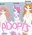 *SOLD OUT*_Cattos