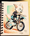 Motorcross Pent