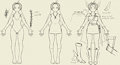 Bertranus concept things