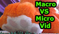 Macro vs micro vid by Blaziefox