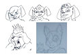 August Doggo Patreon Results by lexcypher