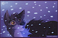 Maybe, a wolf can