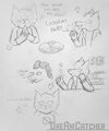 Night in the Woods III