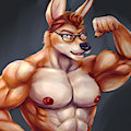 muscle roo by bleakcat