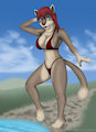 Catdip