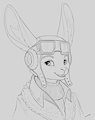 Bunny Pilot