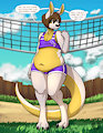 Volley Roo