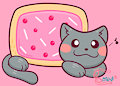 Pastry Feline
