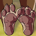 coco paws