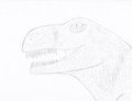 DINO DOODLE pencil pic 1