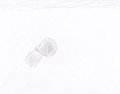 DINO DOODLE pencil pic 2