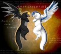 Brothers by Krone