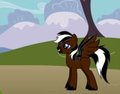 Black Wing The Stalion by LittleWolfPawz