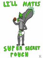 Li'll Nates Super Secret Pouch