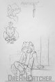 Marius Concept