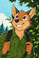 EF25 com from ANGO- On the mountains