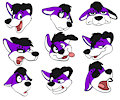 Expressions