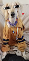 its me vivi a dog by Vivigator