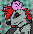 Fang the White-Eared Opossum