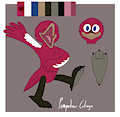 Pompadour Cotinga Adoptable