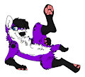 Paw up!