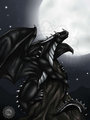Full Moon by Dragonlovers&nbsp;&nbsp;by ForrestMarkX