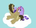 Preening Ponies by KiyaraSabel