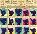 PMD Expressions Meme - Chalky