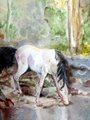 Acuarela de caballo by Zephifox2006
