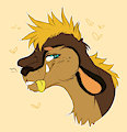 Icon: Rightie [Ashoxx Art] by ToiletTrauma