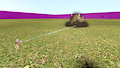 random gmod shit by xXMezzXx