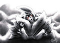 Shynix (first version)