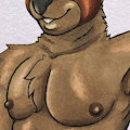 Comm: The Honeypot by Dcheese