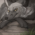 Silver Foxes Icon