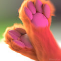 Peets by kazzypoof