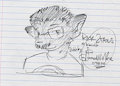 foxcoon doodle