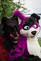 Happy Fursuit Friday from Sarou and Pawalo