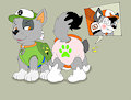 Paw Patrol new diaper by Loupy