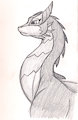 Saryala doodles