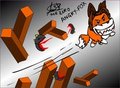 Meet angry fox