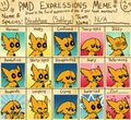 PMD Expressions Meme - Bloodstone