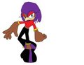 rebecca the hawk