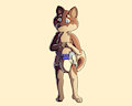 Shikoku by RiskItForTheBiscuit