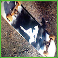 Furry Deck [Neversoft] by Neversoft