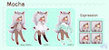 Mocha New Sheet