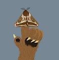 Bugs the Cubs Like to Catch by moyomongoose